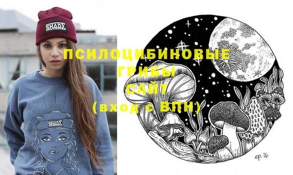 ГАЛЛЮЦИНОГЕННЫЕ ГРИБЫ Баксан