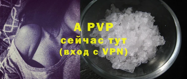 прущие грибы Липки